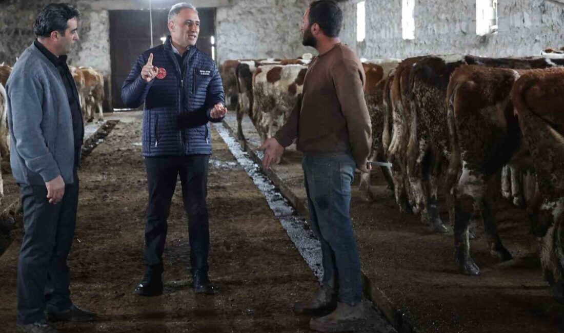 Kars Tarım ve Orman Müdürü Enver Aydın, Bayraktar Köyü’nde faaliyet