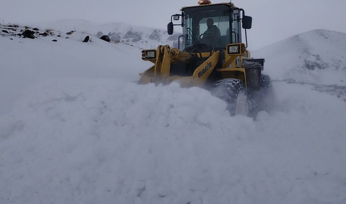 Kars’ta 2 gündür etkisini sürdüren tipi, ulaşımda aksamalara neden oldu.