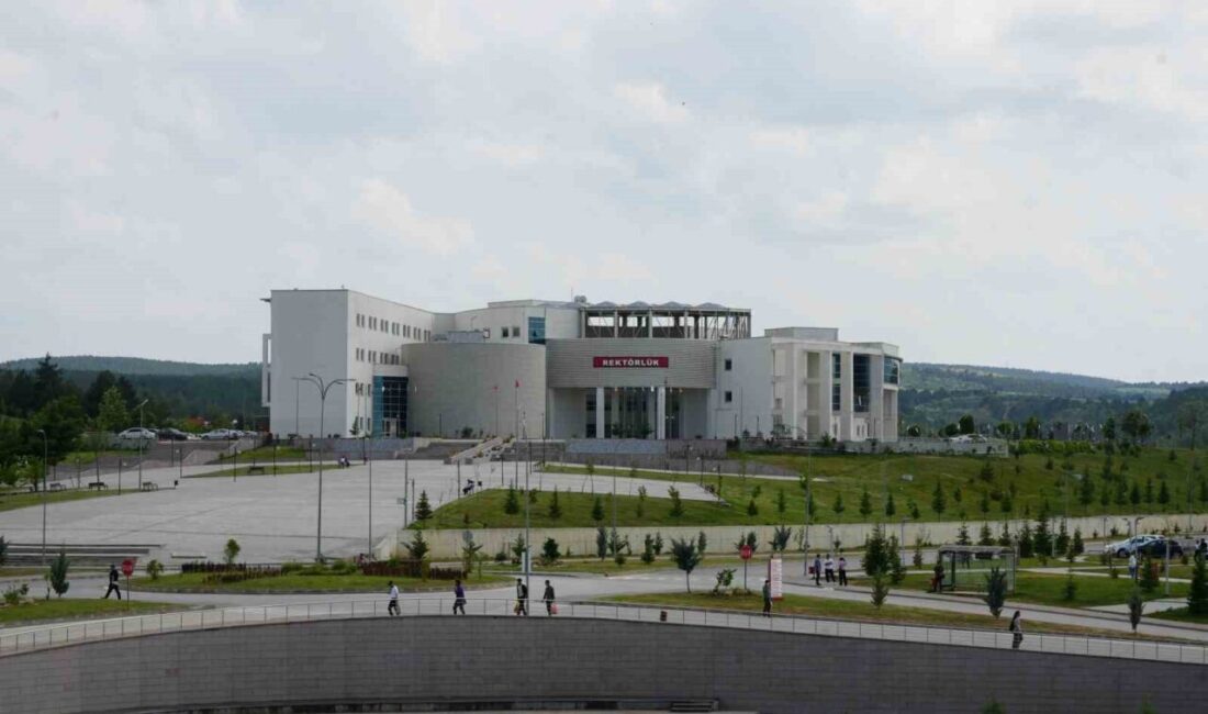 Kastamonu Üniversitesi tarafından hazırlanan “Kastamonu Odaklı Raporlar Dizisi” kapsamında korunan