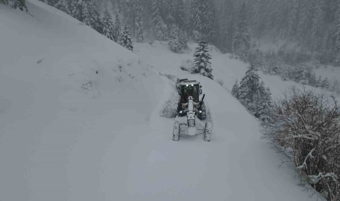 Kastamonu’da yoğun kar yağışının ardından köy yollarının ulaşıma açılması için