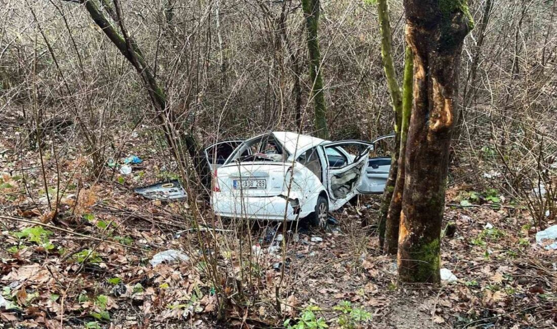 Kastamonu’nun Cide ilçesinde otomobilin şarampole yuvarlanması neticesinde meydana gelen kazada