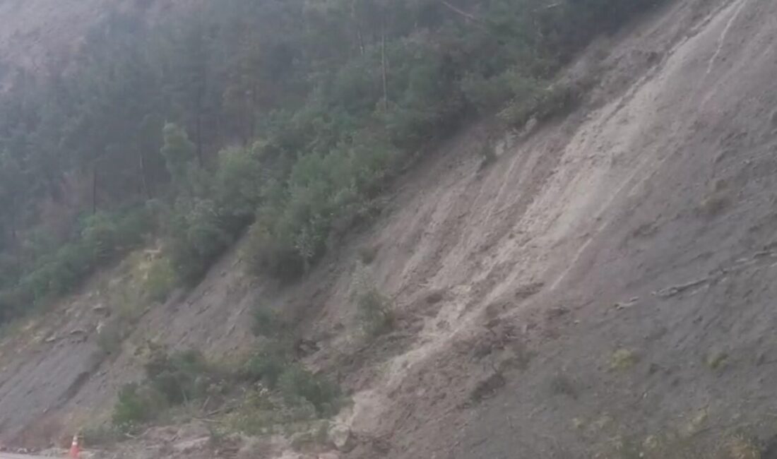 Kastamonu’nun Çatalzeytin ile Doğanyurt ilçelerinde yağışların ardından heyelanlar meydana geldi.