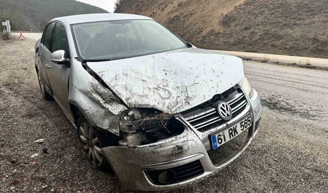 Kastamonu’da kayak merkezine gitmek isteyen ailenin bulunduğu otomobil kontrolden çıkarak