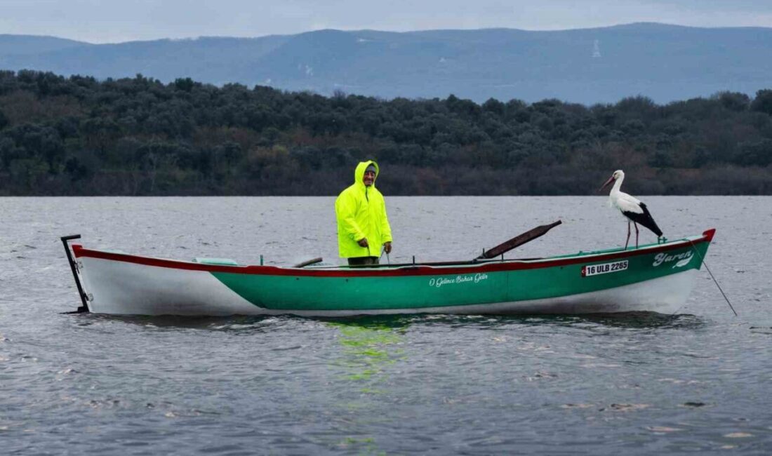 Türkiye’nin en özel dostluk hikayelerinden biri olan Yaren leylek ile