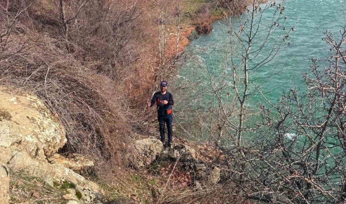 Diyarbakır’ın Kulp ilçesinde kaybolan 84 yaşındaki zihinsel engelli yaşlı adamı