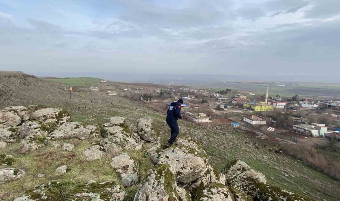 Diyarbakır’ın Çınar ilçesinde 13 gündür kayıp şizofreni hastası kadın termal