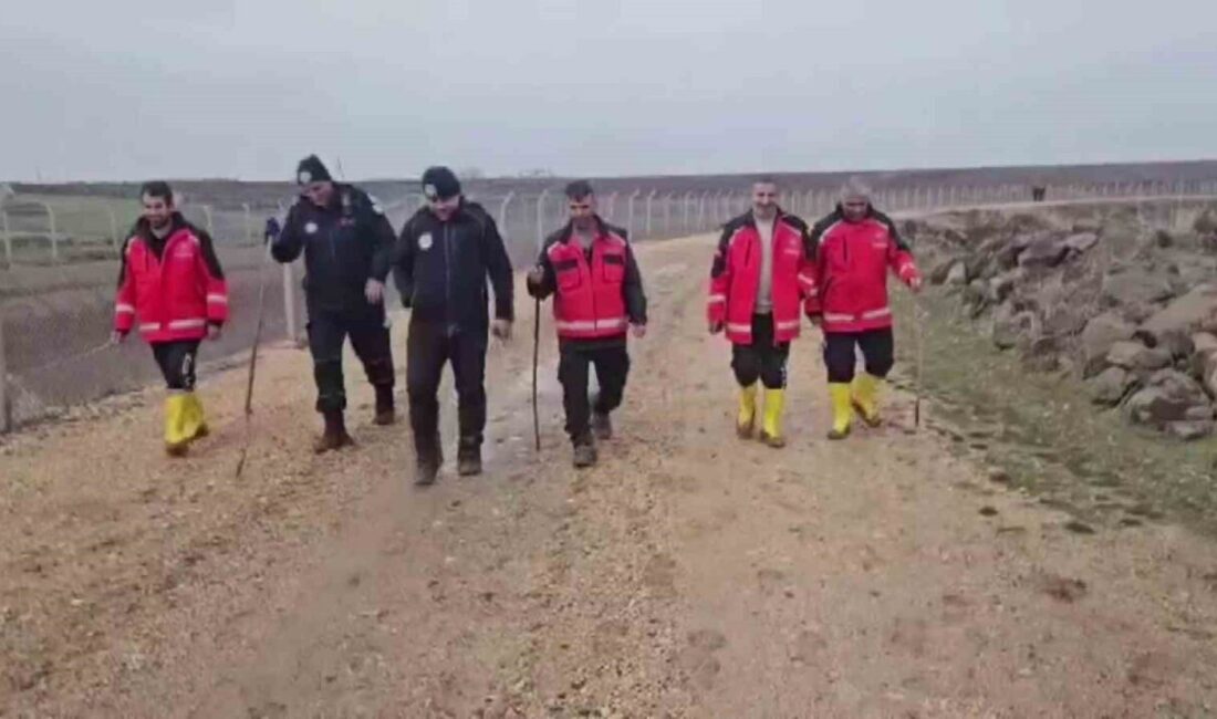 Diyarbakır’ın Çınar ilçesinde 12 gündür kayıp olan şizofreni hastası kadını
