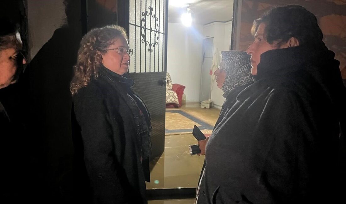 Germencik Kaymakamı Sultan Doğru ilçede etkili olan yağış sonrası evleri