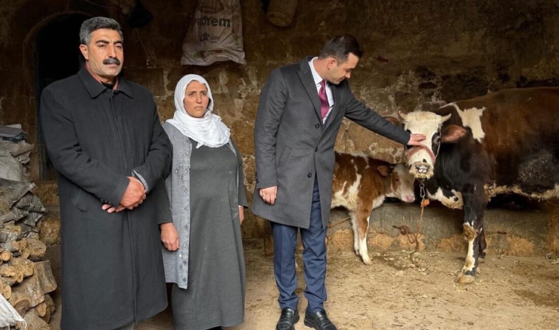 Mardin’in Midyat İlçe Kaymakamı Mehmet Kaya, Çavuşlu Mahallesi’nde geçimini hayvancılıkla