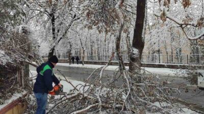 Kayseri Büyükşehir Belediyesi, kar yağışının ardından zarar gören ağaç ve