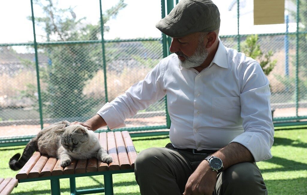 Kayseri’de ilk olan Kocasinan Belediyesi’nin ’Küçük Dostlar Kedi Kasabası’, Dünya