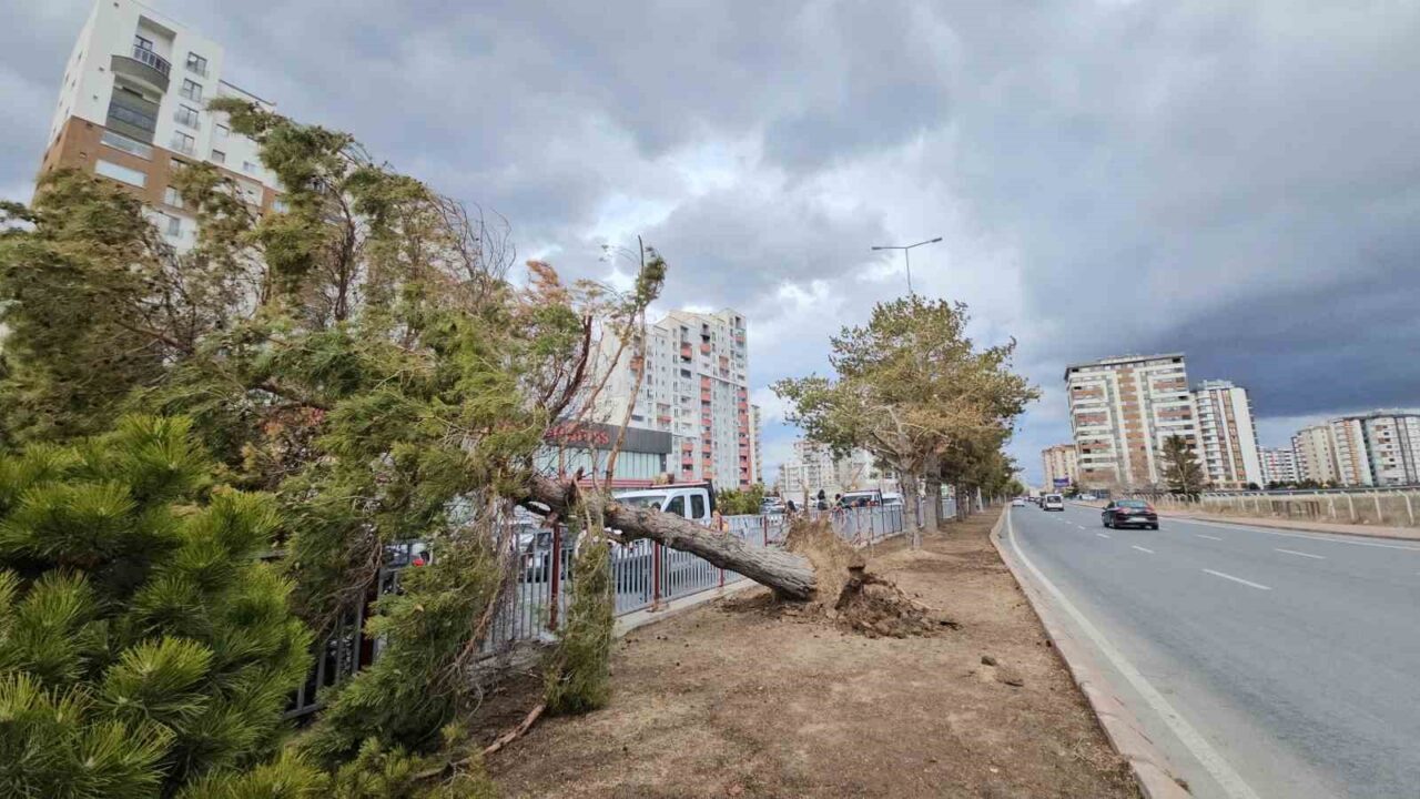 Kayseri’de etkili olan şiddetli rüzgar, refüjde bulunan bir ağacı kökünden