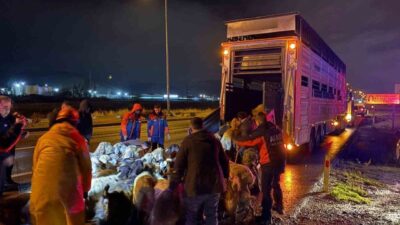 Kayseri’nin Kocasinan ilçesinde sağanak yağış sebebiyle Karasu Deresi yükseldi. Derenin