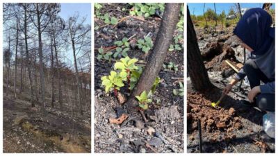Karabük Üniversitesi’nin(KBÜ) Türkiye Bilimsel ve Teknolojik Araştırma Kurumu (TÜBİTAK) destekli