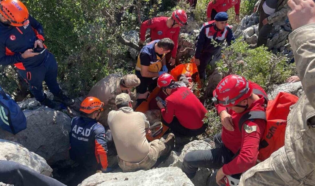 Antalya’nın Serik ilçesinde küçükbaş hayvanlarını otlatmak için evden çıkan ve