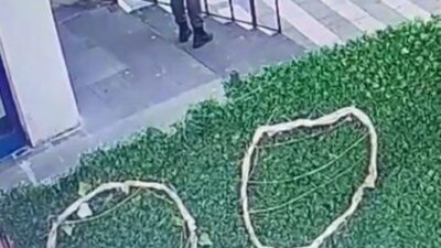 Niğde’de bir market zincirinin çevresinde bir kedinin çuvala konulduğu görüntüler