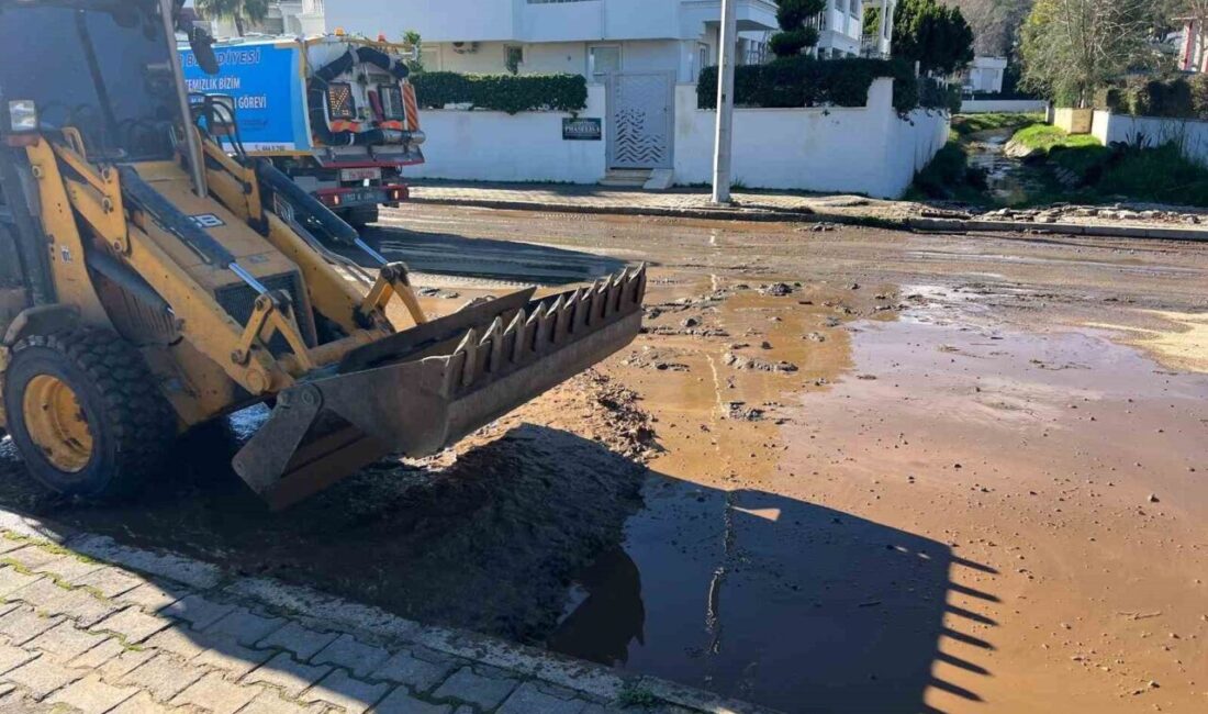 Kemer Belediyesi Park ve Bahçeler Müdürlüğü ekipleri, geçen haftalarda yaşanan