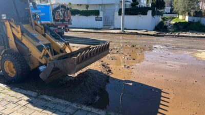 Kemer Belediyesi Park ve Bahçeler Müdürlüğü ekipleri, geçen haftalarda yaşanan