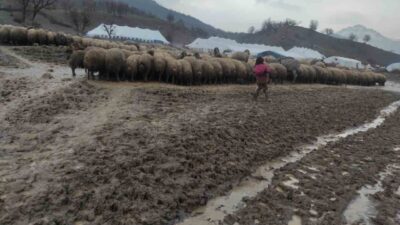 Batman’ın Sason ilçesinde göçer bir ailenin küçük kızı, yeni doğan