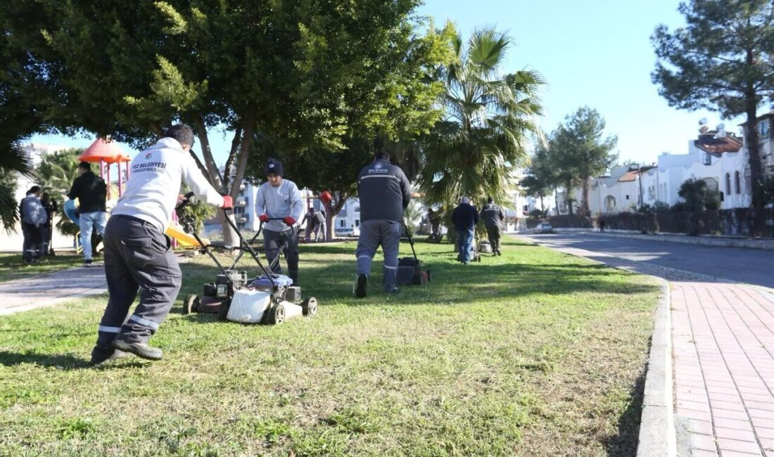 Kepez Belediyesi Park ve Bahçeler Müdürlüğü ekipleri, Varsak Ayanoğlu Mahallesi’nde