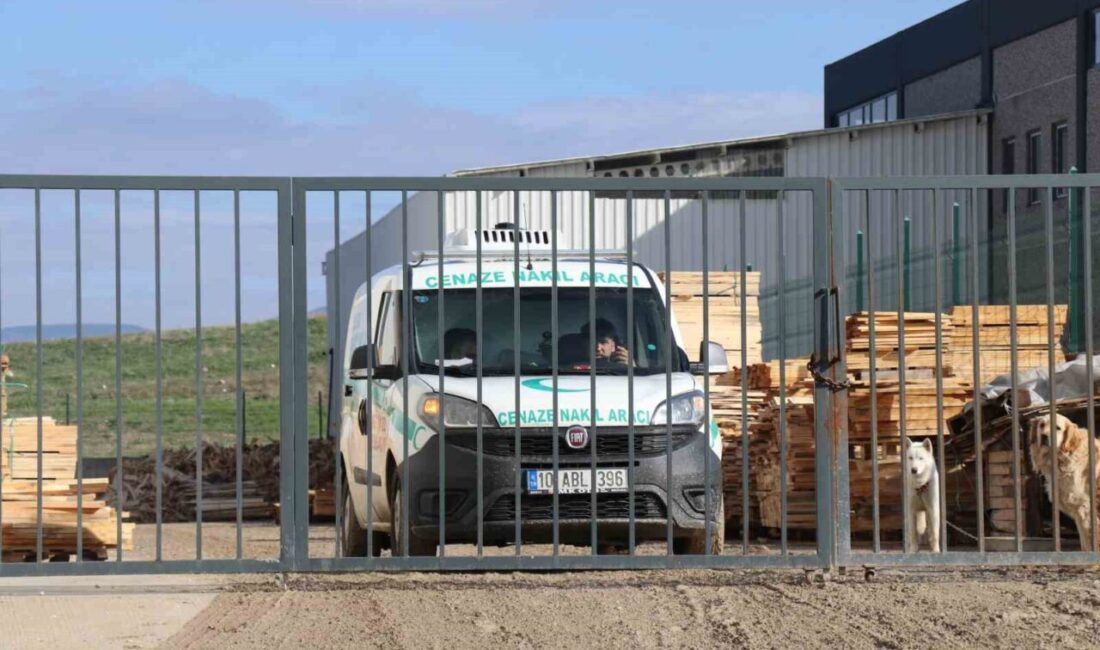 Denizli’de kereste fabrikasında arızalanan makineden fırlayan kereste kafasına çapan işçi