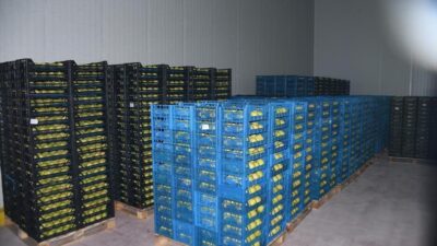 Kestel Belediye Başkanı Ferhat Erol, ilçeye 400 milyon liralık yatırımla meyve kurutma