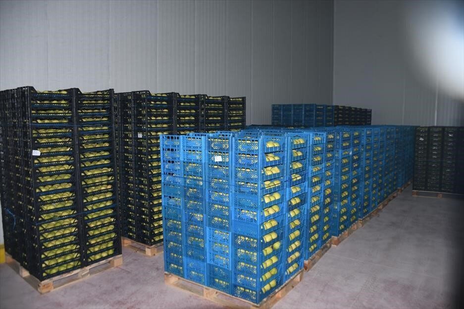 Kestel Belediye Başkanı Ferhat Erol, ilçeye 400 milyon liralık yatırımla meyve kurutma