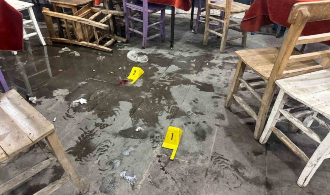 Şanlıurfa’nın Birecik ilçesinde bir kıraathanede bıçaklı saldırıya uğrayan amca ve