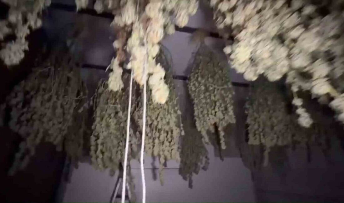 Kırklareli Cumhuriyet Başsavcılığı koordinesinde yürütülen uyuşturucu ile mücadele çalışmaları kapsamında