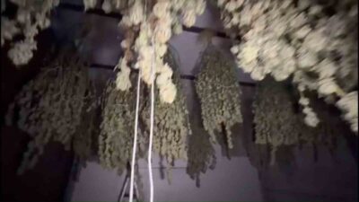 Kırklareli Cumhuriyet Başsavcılığı koordinesinde yürütülen uyuşturucu ile mücadele çalışmaları kapsamında