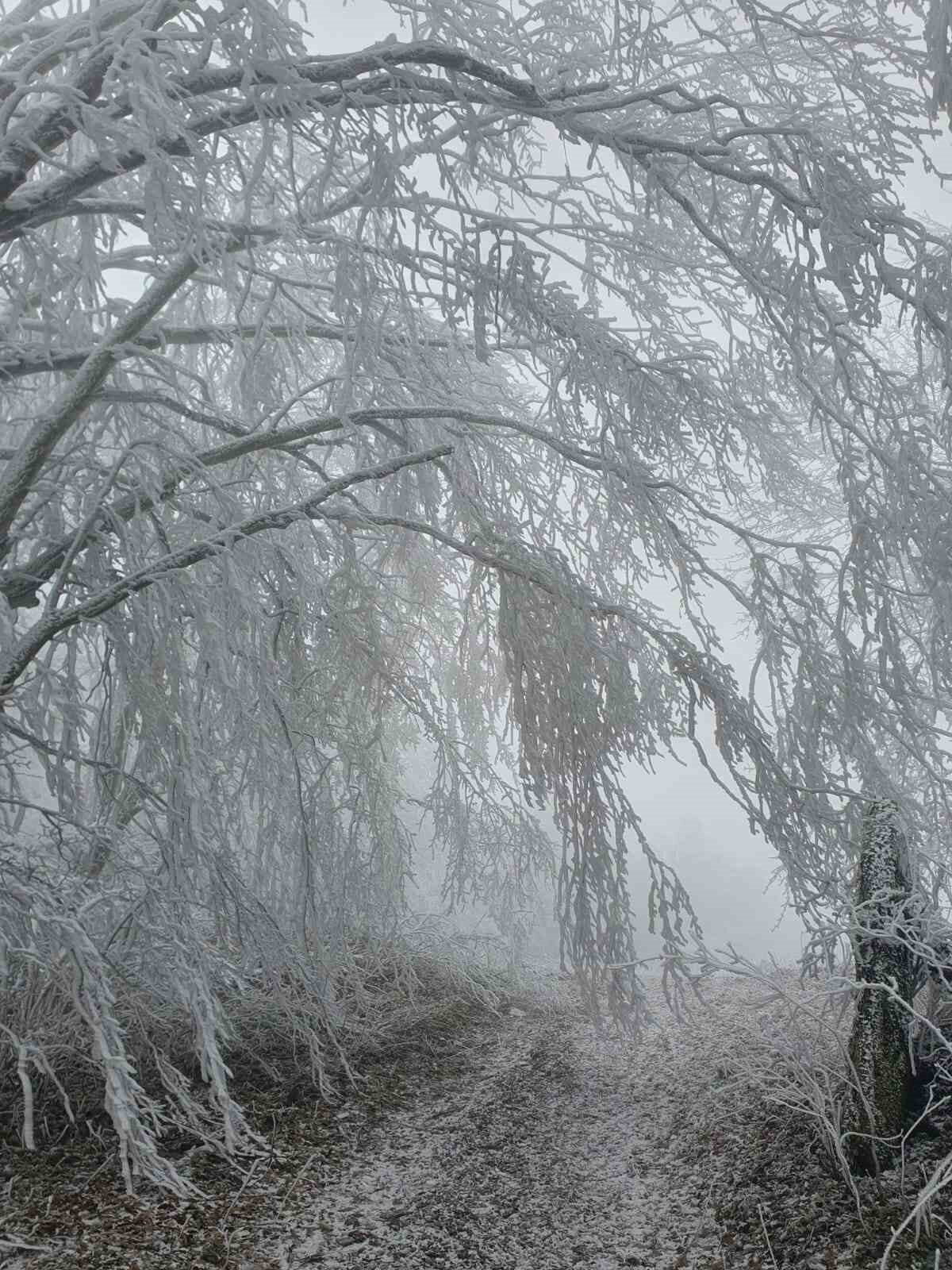 Kırklareli’nin yüksek kesimlerinde etkili olan kar yağışı sonrası Istranca Ormanları