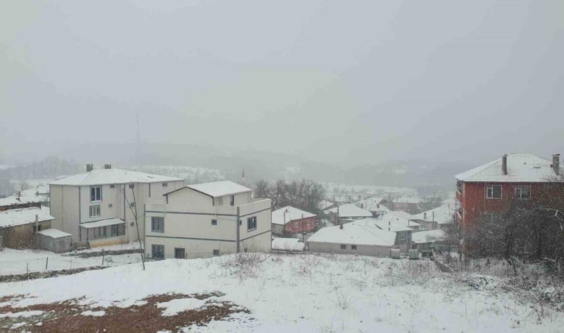 Kırklareli’nin yüksek kesimlerinde etkili olan kar yağışı sonrası ormanlık alanlar