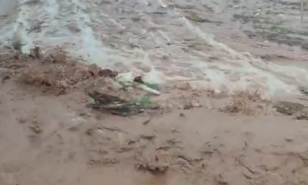 KIRŞEHİR (İHA) – Kırşehir’de etkili olan sağanak yağış, su baskınlarına