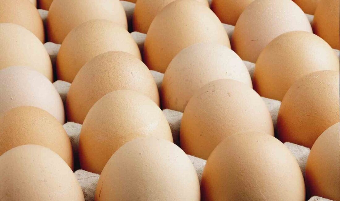 Türkiye’de geçen yıl yumurta üretimi 1 milyar 262 milyon 395