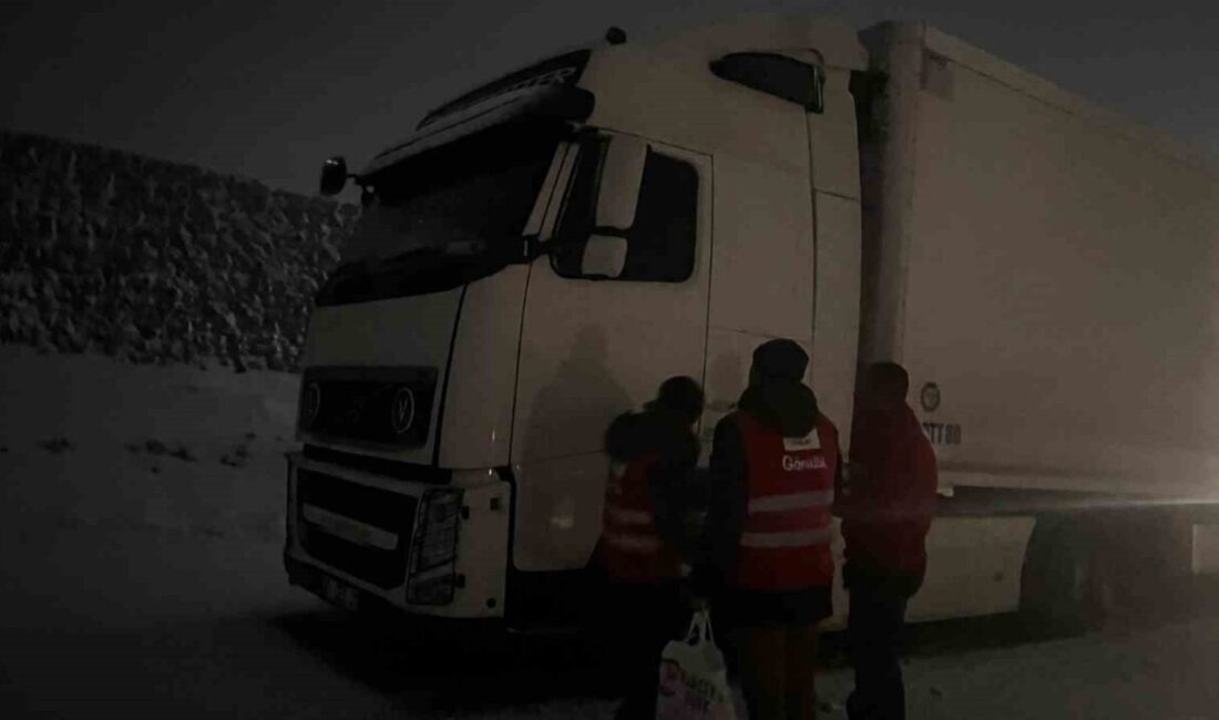 Van’ın Çaldıran ilçesinde bulunan Tendürek Geçidi’nde etkili olan yoğun kar