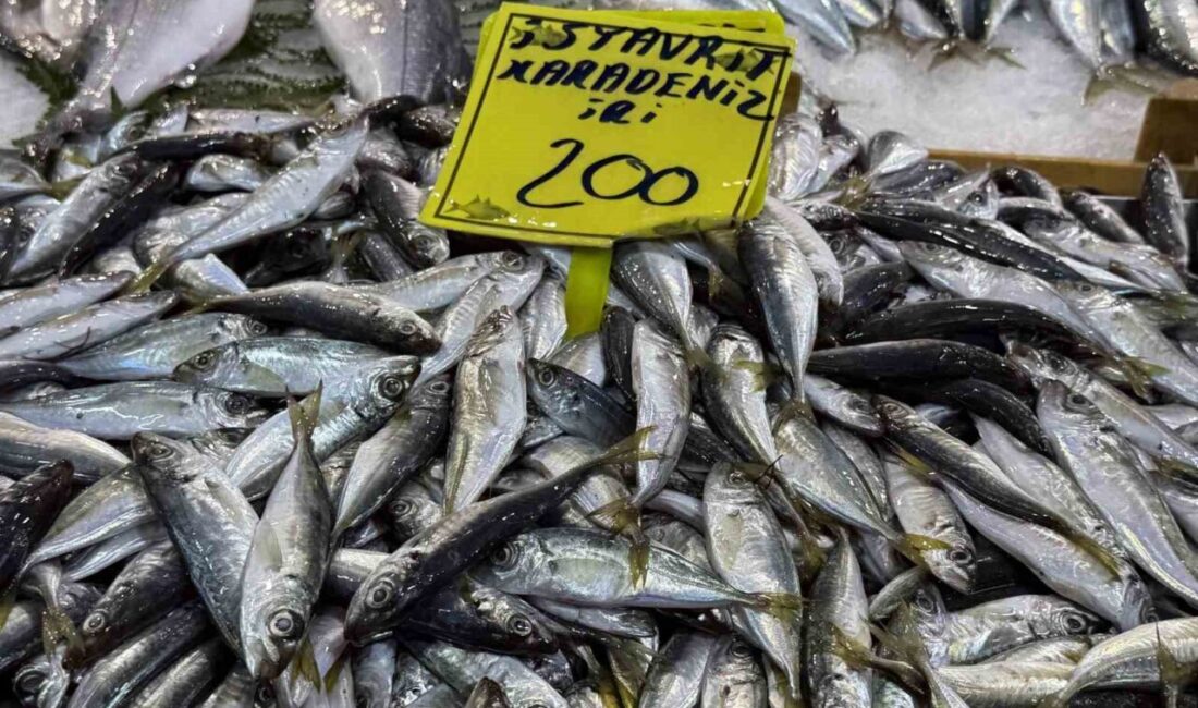 Kocaeli’de geçtiğimiz günlerde etkili olan olumsuz hava şartları nedeniyle denize