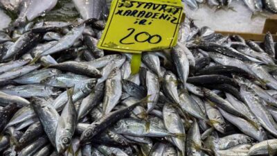 Kocaeli’de geçtiğimiz günlerde etkili olan olumsuz hava şartları nedeniyle denize