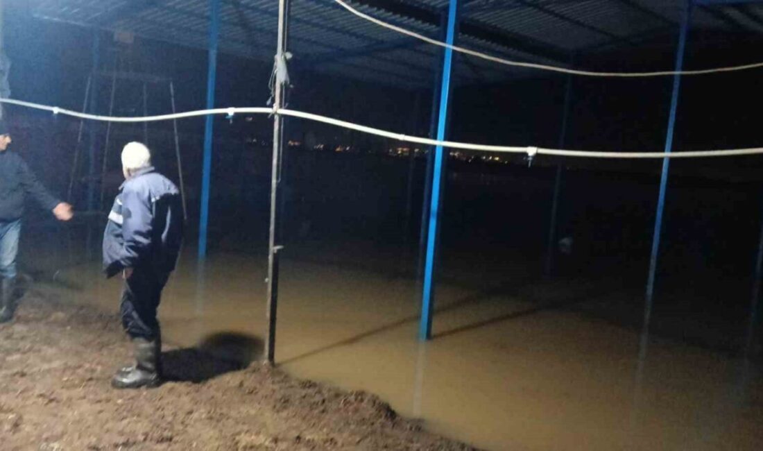 Aydın’ın Koçarlı ilçesinde sağanak sonrası su baskınlarının yaşandığı kırsal mahallelerde,