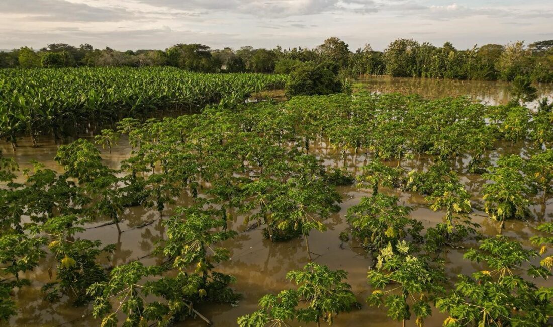Kolombiya Ulusal Afet Risk Yönetimi Birimi’nin (UNGRD) raporlarına göre, ülkede