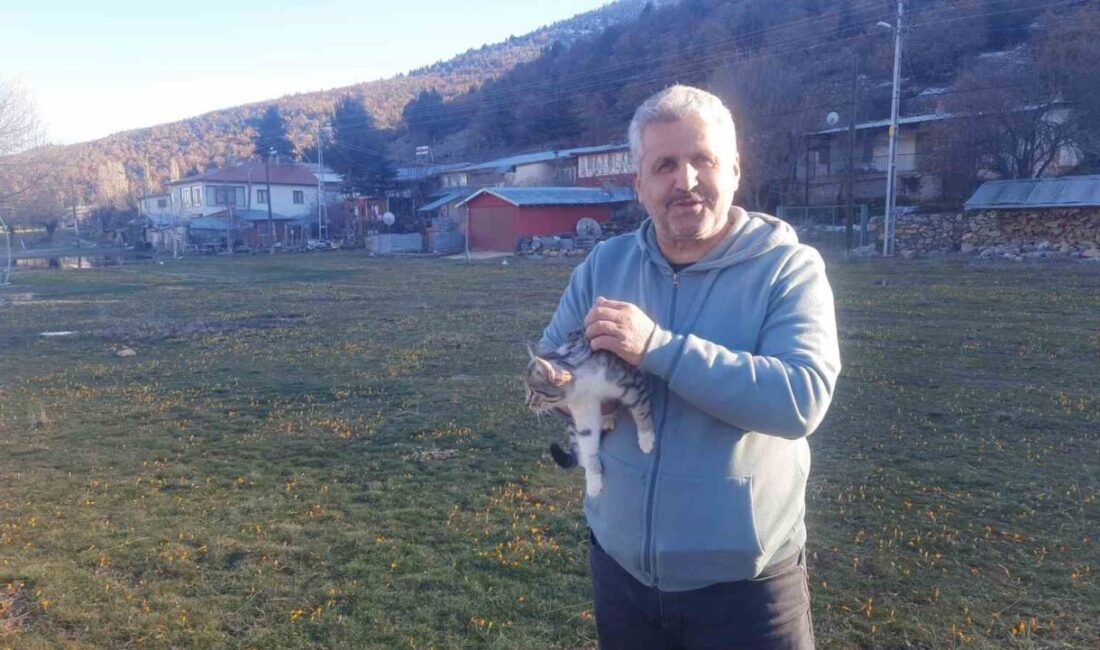 Konya’nın Ahırlı ilçesine bağlı Bartlı Yaylası’na gezmeye giden bir gurbetçi