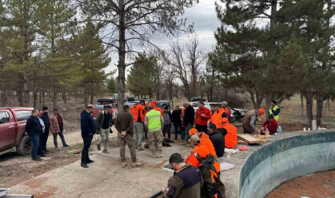 Konya’nın Karapınar ilçesinde, tarım arazilerine büyük zarar veren yaban domuzlarına