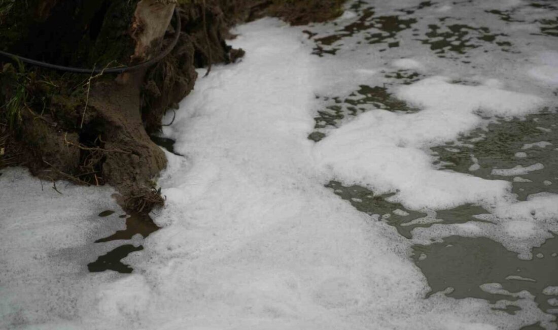 Kocaeli’nin Gebze ilçesinden geçen Kocagöl Deresi’nde meydana gelen köpüklenme ve