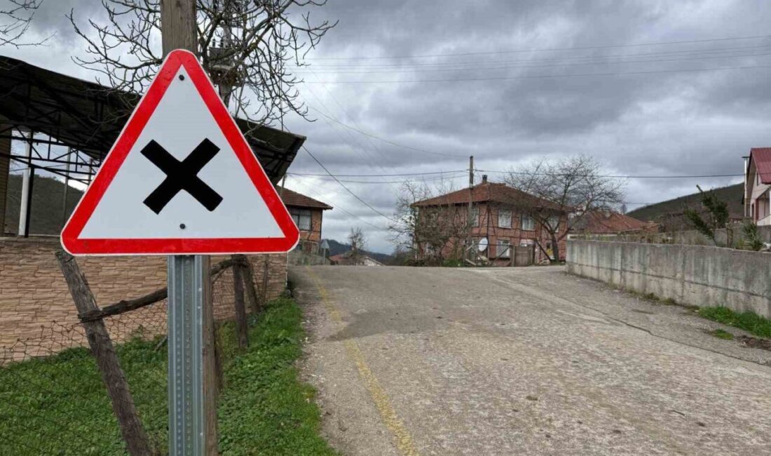 DÜZCE (İHA) – Düzce’nin Akçakoca ilçesinde Özel İdare Müdürlüğü ekipleri