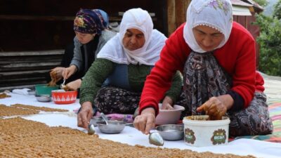 Erzurum’un Olur ilçesi Ormanağzı Mahallesi’nde yazın kavurucu sıcaklarda üretilen organik