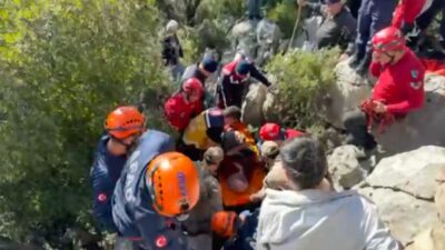 Antayla’nın Serik ilçesinde küçükbaş otlatmak için evinden çıkan ve geri