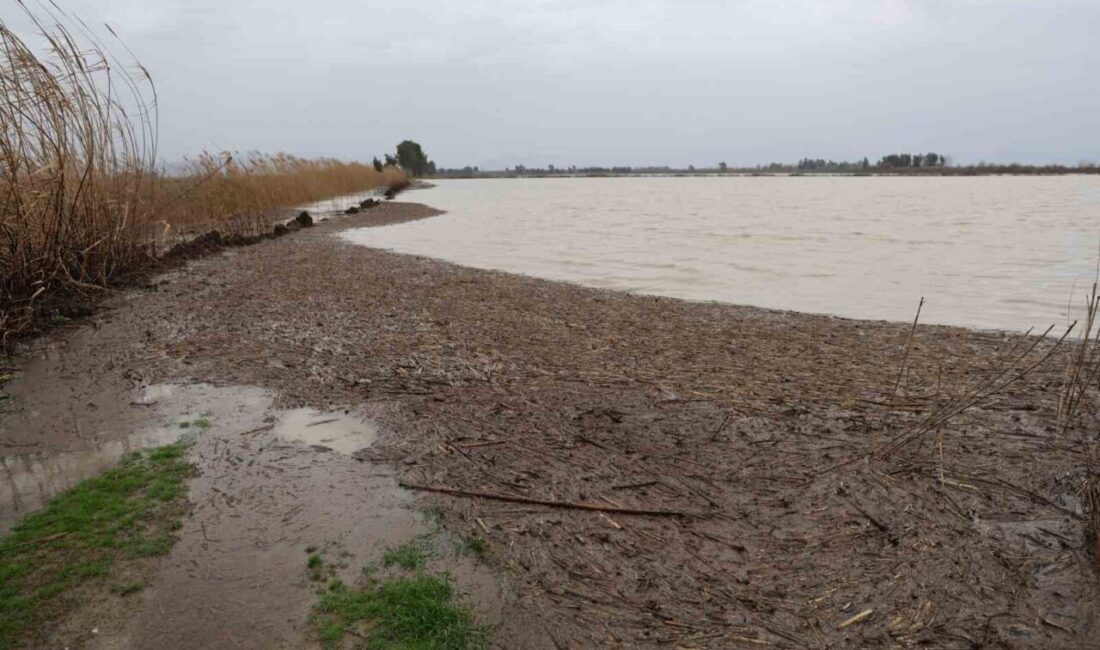 Adana’nın Kozan ilçesinde etkili olan sağanak sonrası Sumbas Çayı taştı.