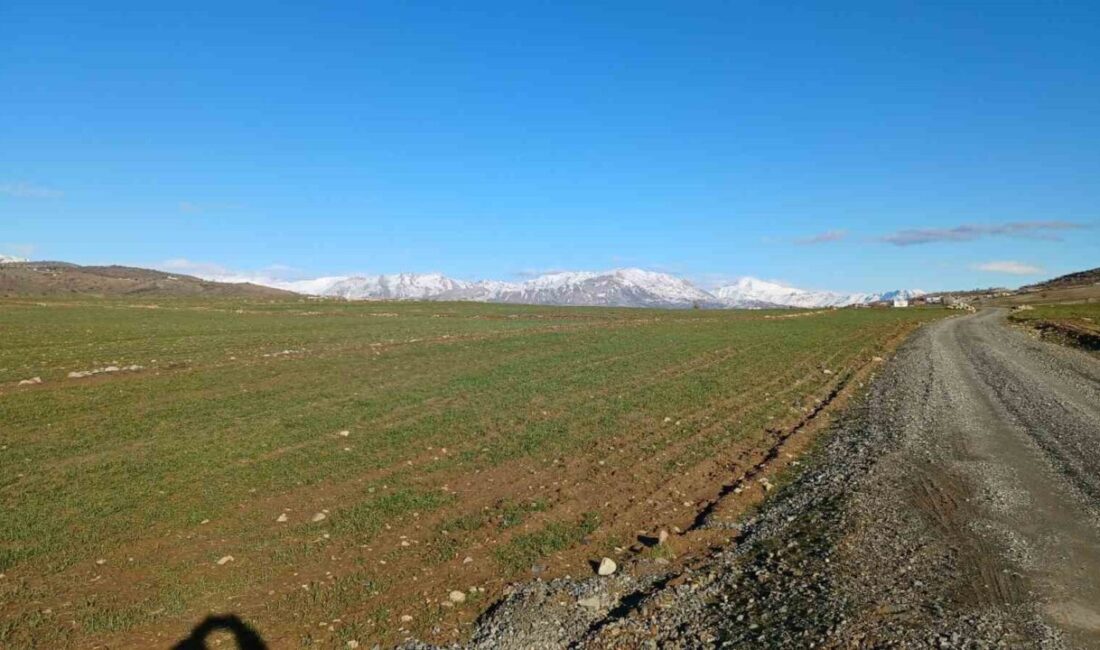 Diyarbakır’ın Kulp ilçesinde aralık ayı sonundan bu yana etkili olan