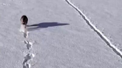 Dondurucu soğukların ve yoğun kar yağışının etkili olduğu Ardahan’da, yiyecek