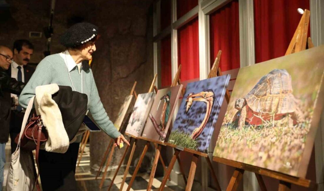 Samsun’da açılan Kızılırmak Deltası Karma Fotoğraf Sergisi, iki haftalık sürede