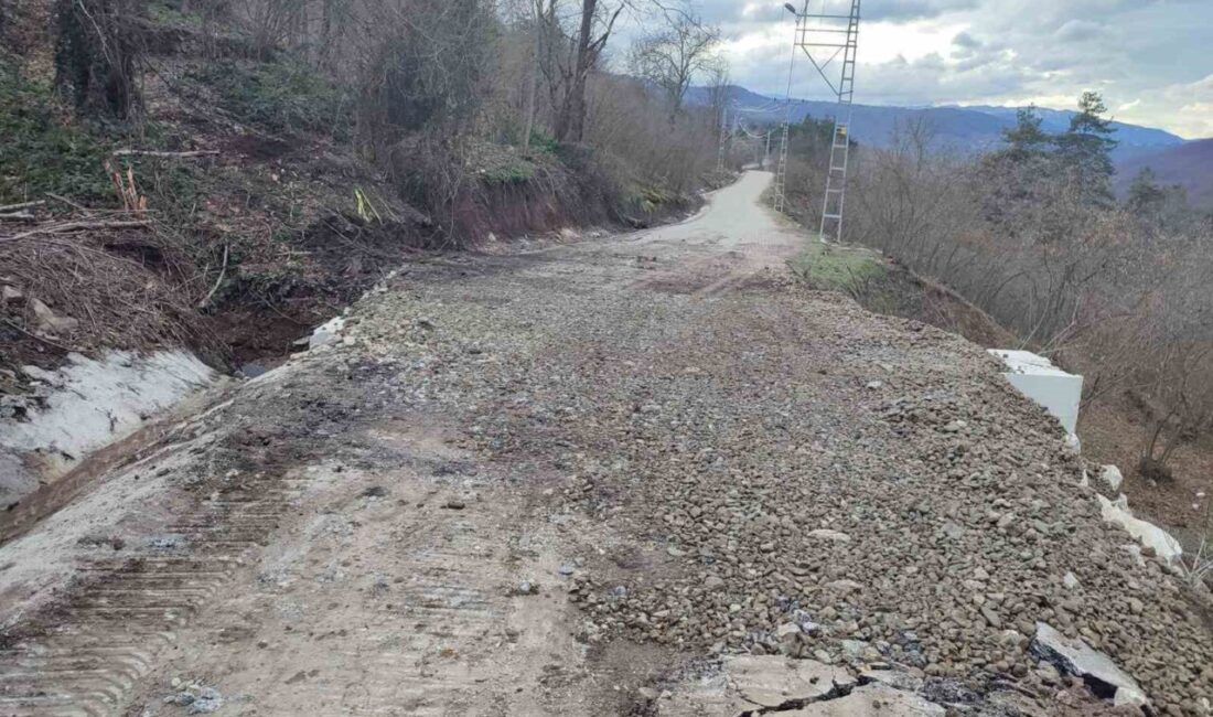 DÜZCE (İHA) – Düzce İl Özel İdaresi Yol ve Ulaşım